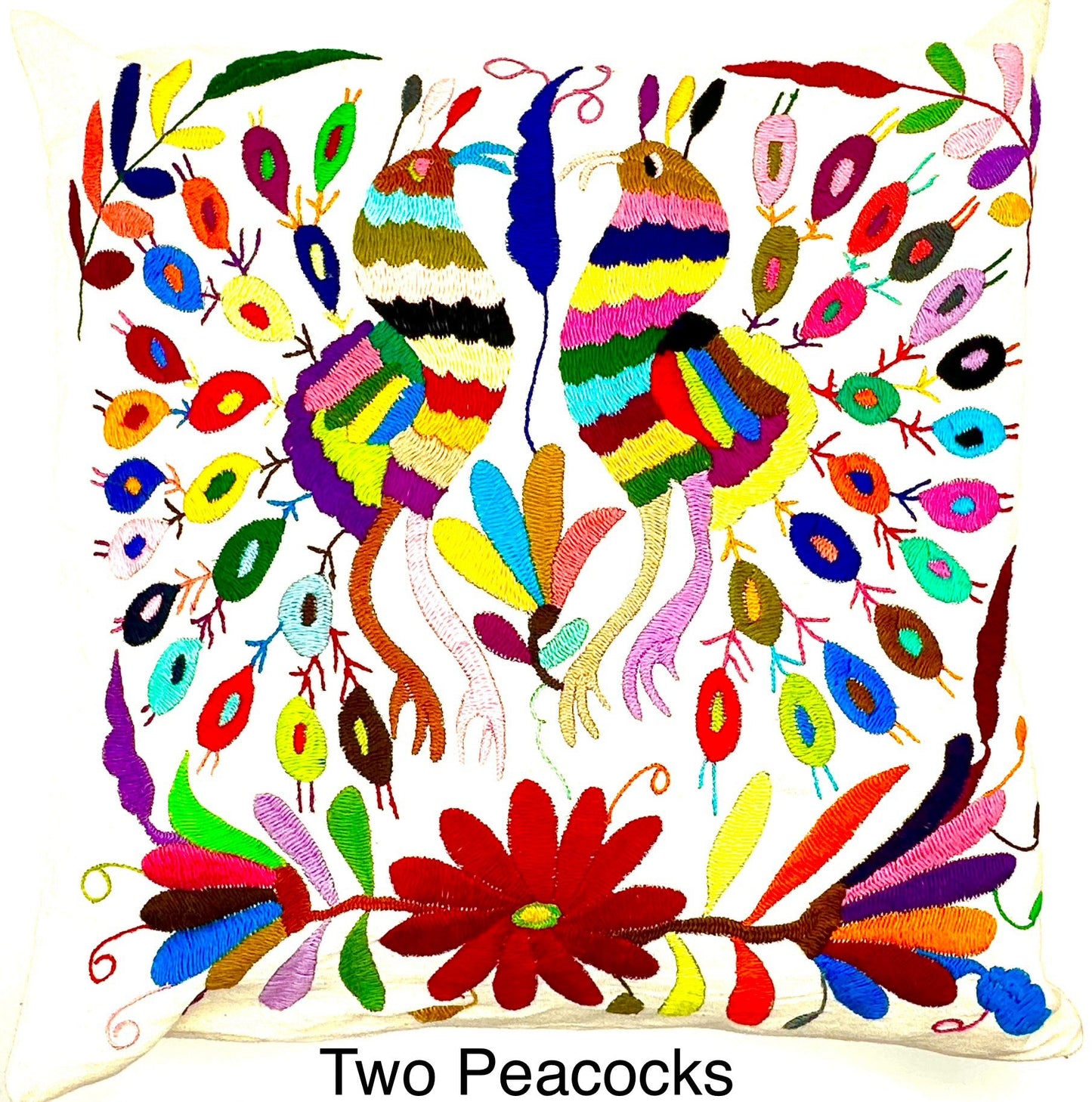 Mexican Otomi Embroidered Cushion Cover – Handmade Tenango Textile (45x45cm) – Multicolour