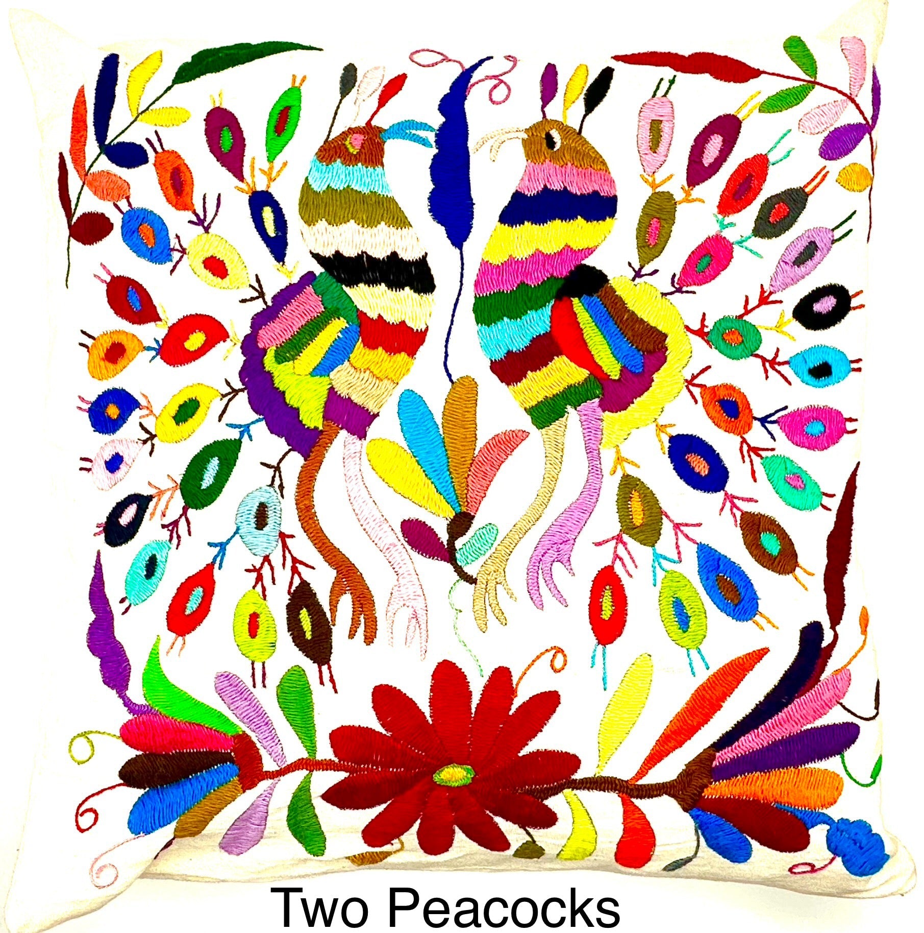 Mexican Otomi Embroidered Cushion Cover – Handmade Tenango Textile (45x45cm) – Multicolour